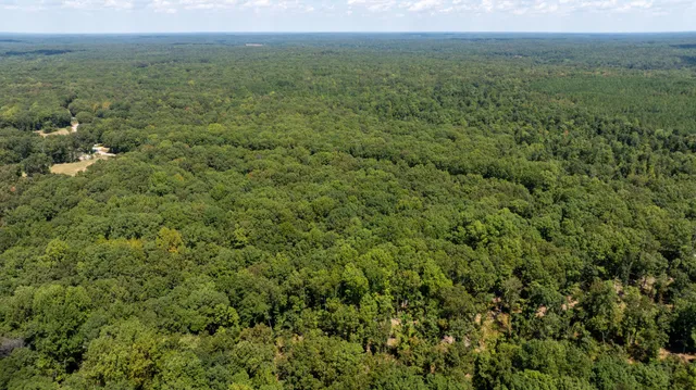 a view of a green field with lots of bushes