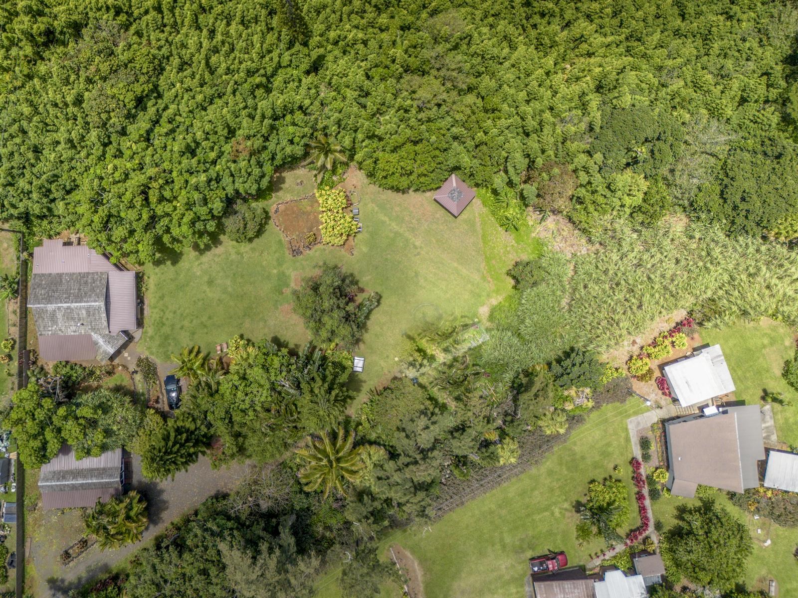 60 Lepo Place Haiku, HI 96708 - Photo 2 of 47 an aerial view of a house with a yard
