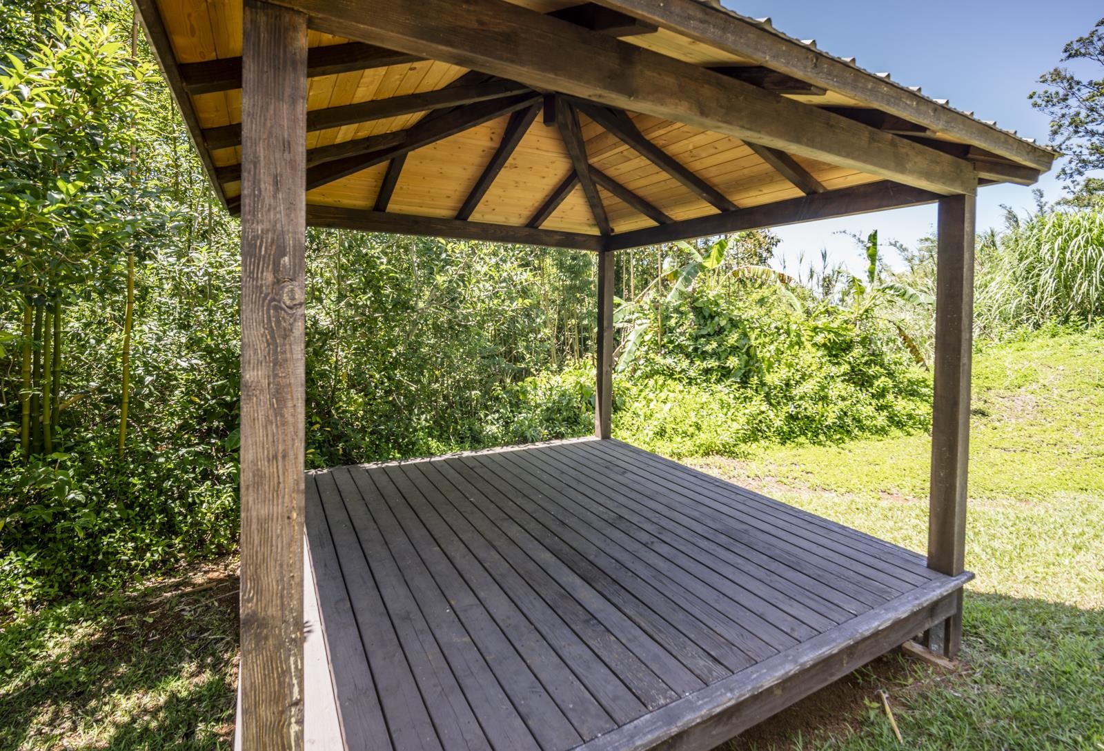 60 Lepo Place Haiku, HI 96708 - Photo 37 of 47 a view of backyard with a deck and wooden floor