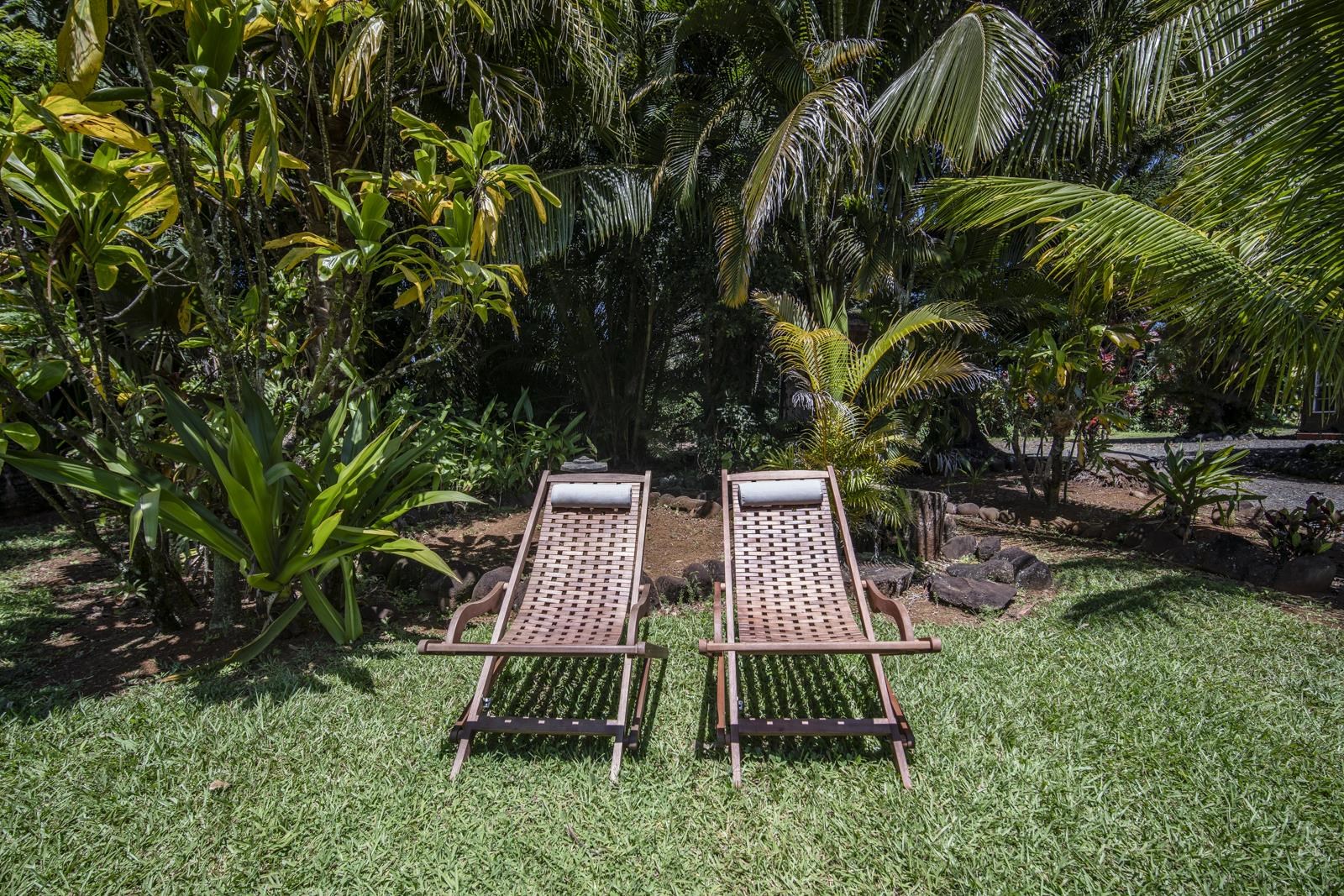 60 Lepo Place Haiku, HI 96708 - Photo 38 of 47 a view of backyard with table and chairs and potted plants