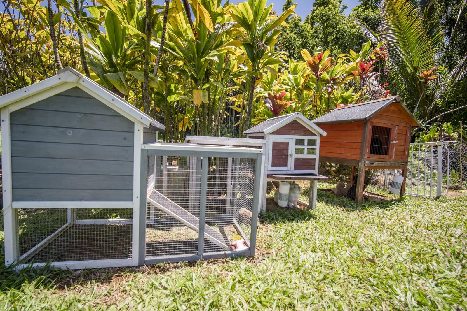 60 Lepo Place Haiku, HI 96708 - Photo 40 of 47 a view of a house with backyard and porch