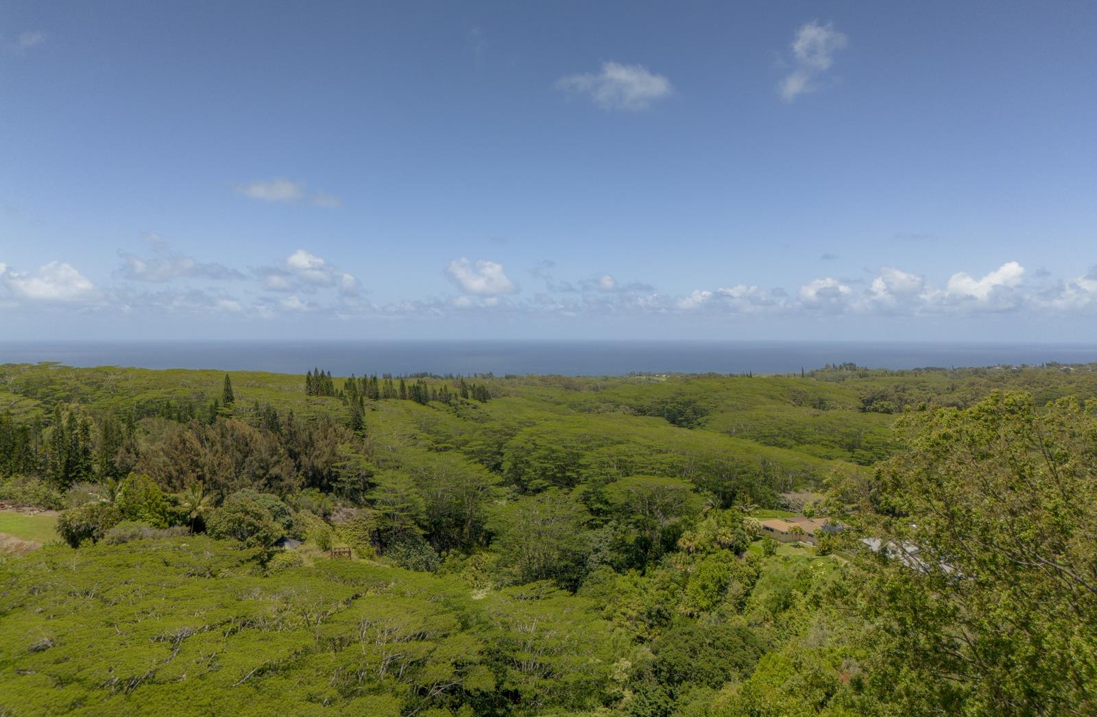 60 Lepo Place Haiku, HI 96708 - Photo 41 of 47 a view of an outdoor space and mountain view