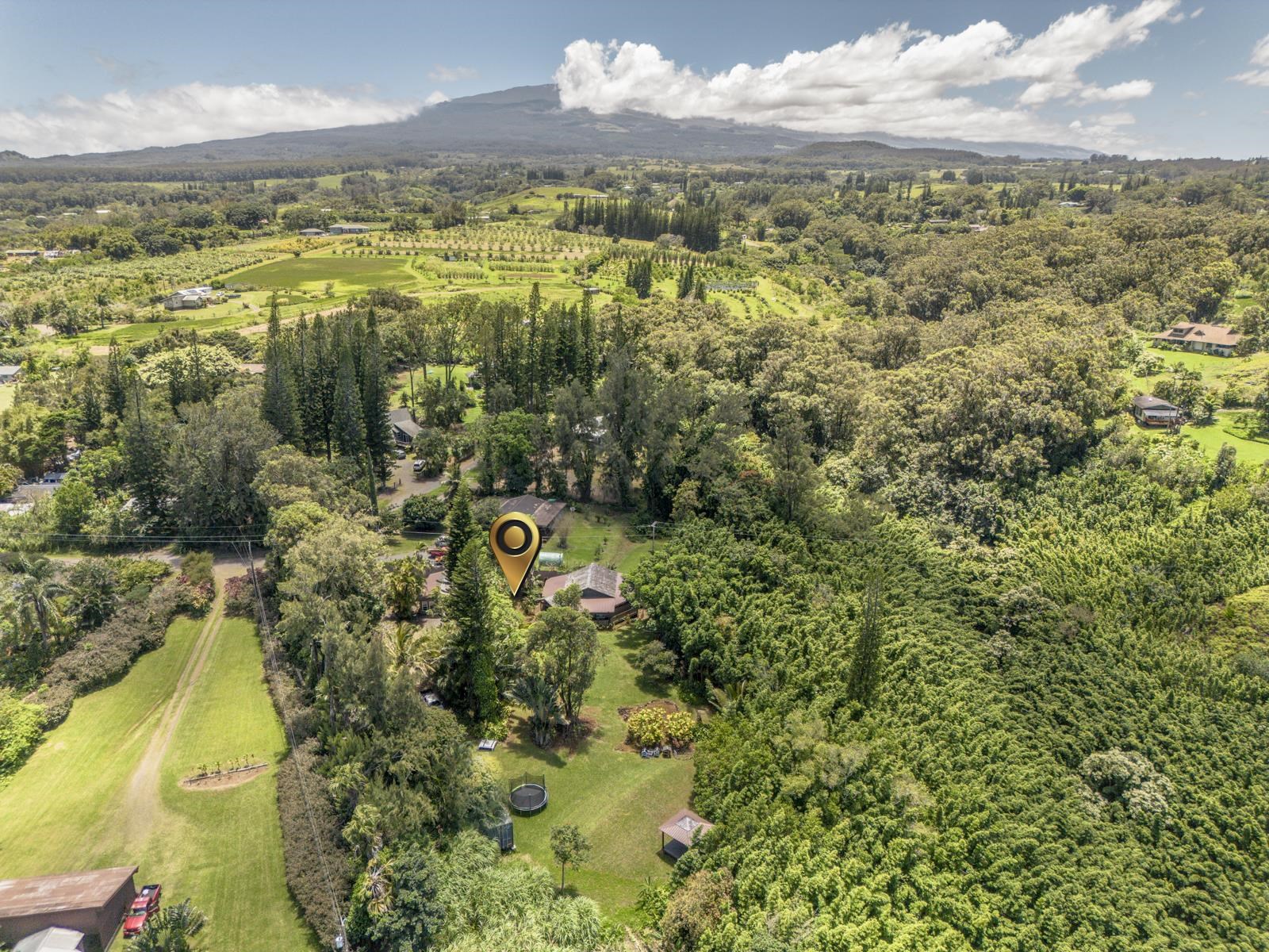 60 Lepo Place Haiku, HI 96708 - Photo 44 of 47 a view of a lake with a yard