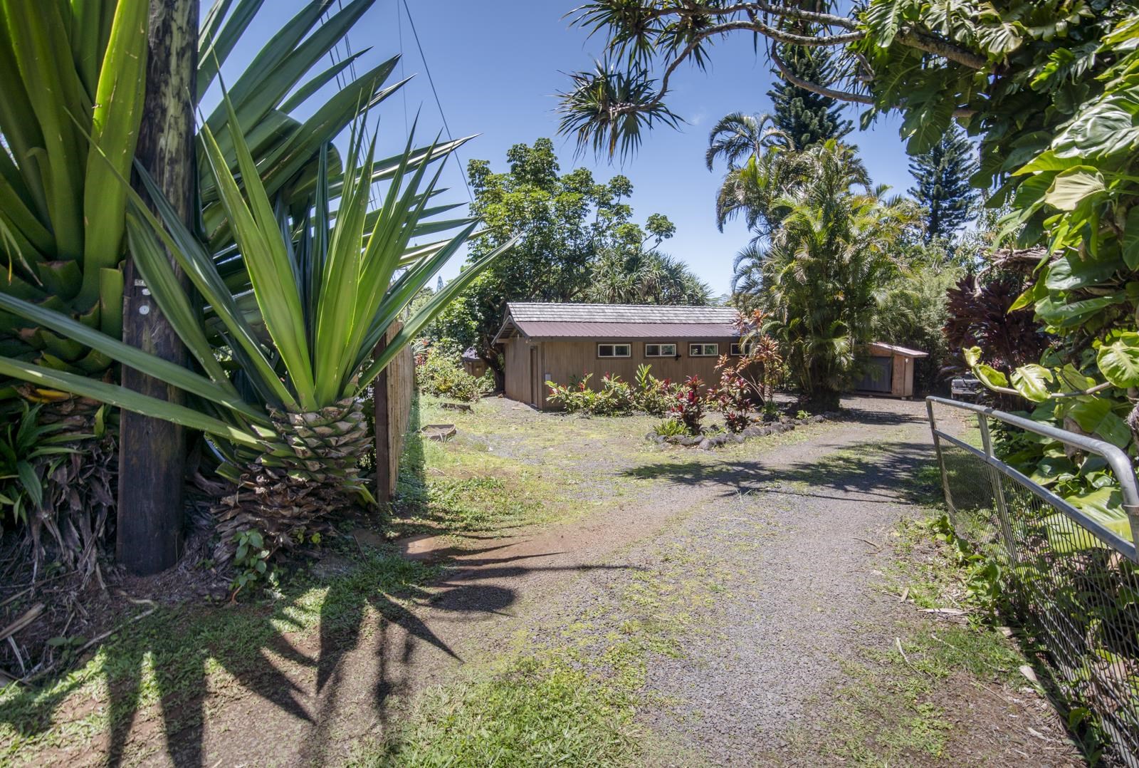 60 Lepo Place Haiku, HI 96708 - Photo 46 of 47 a view of a yard with plants and large trees