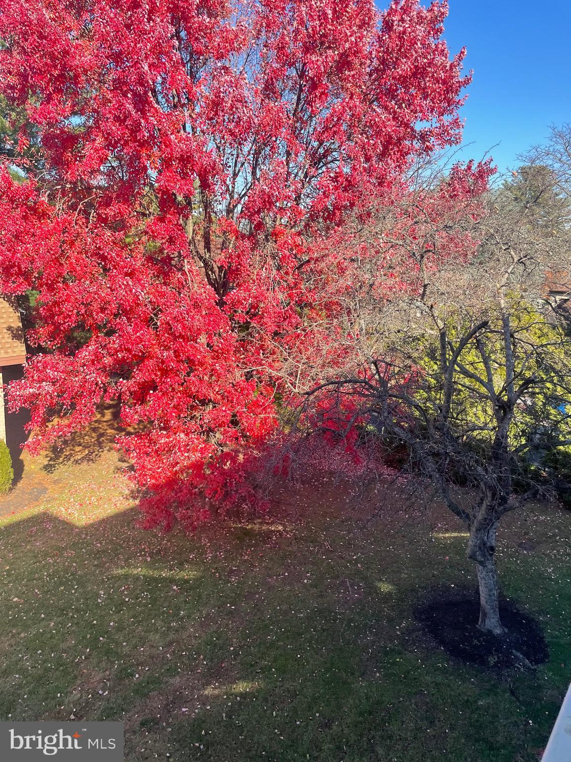 54304 Delaire Landing Road, Unit 304 Philadelphia, PA 19114 - Photo 25 of 29 Outside