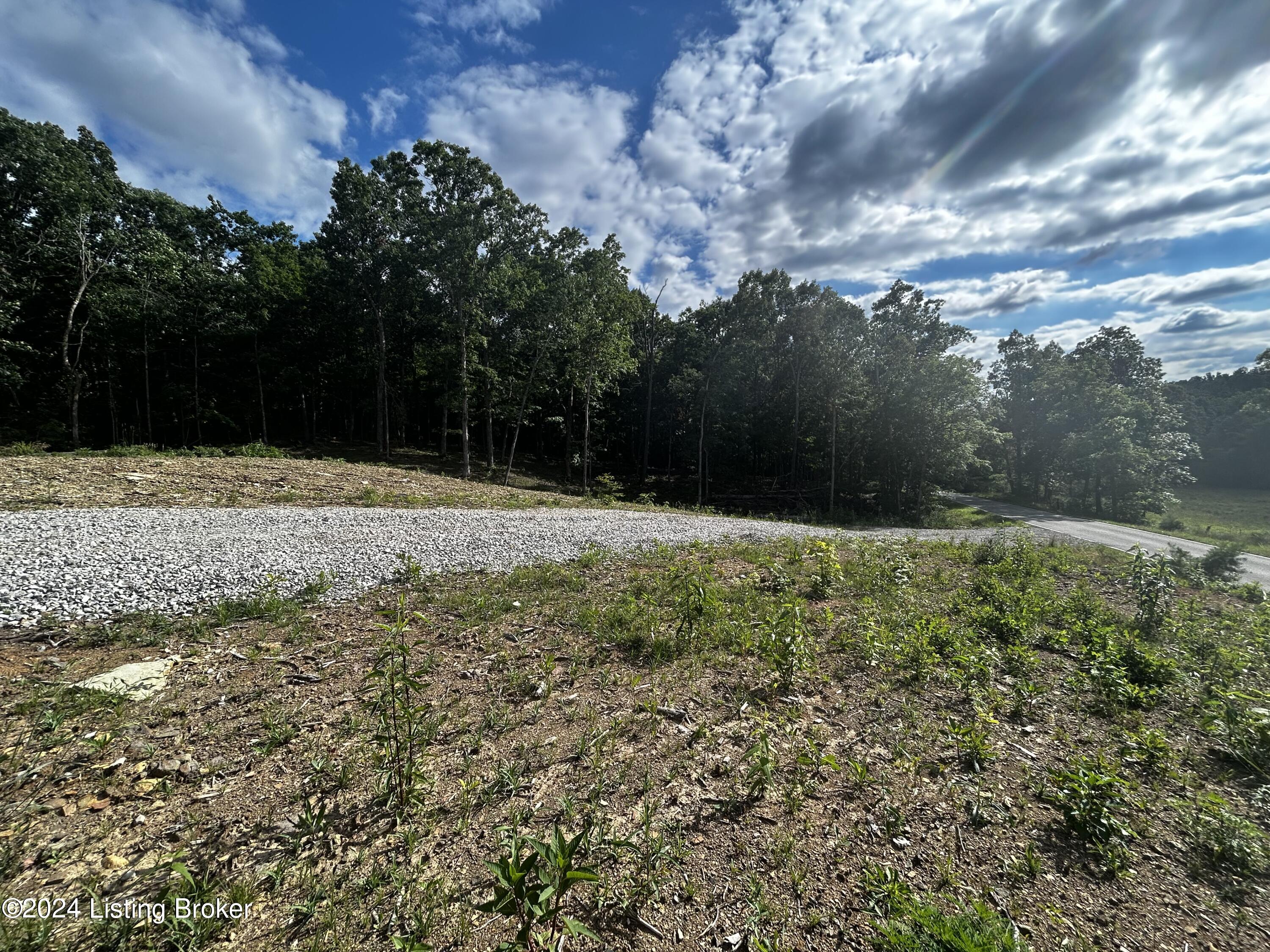 0 Rock Creek Road Clarkson, KY 42726 - Photo 2 of 6 IMG_1904