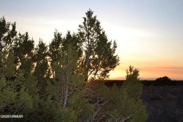 $95,000 | Lot 020 East G E 24th Street, Unit 20G, Snowflake, AZ 85937