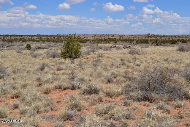 a view of a lake and mountain