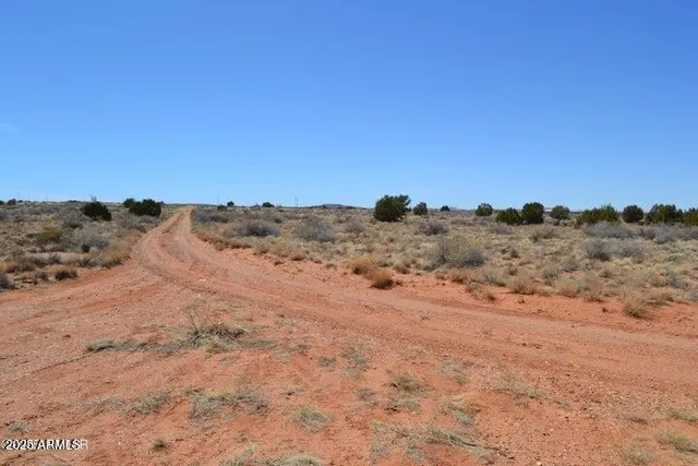 a view of a dry yard with green space and fog