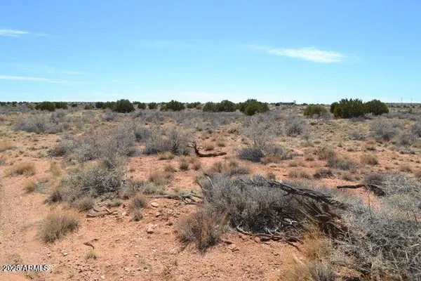 a view of a dry yard with mountains in the background