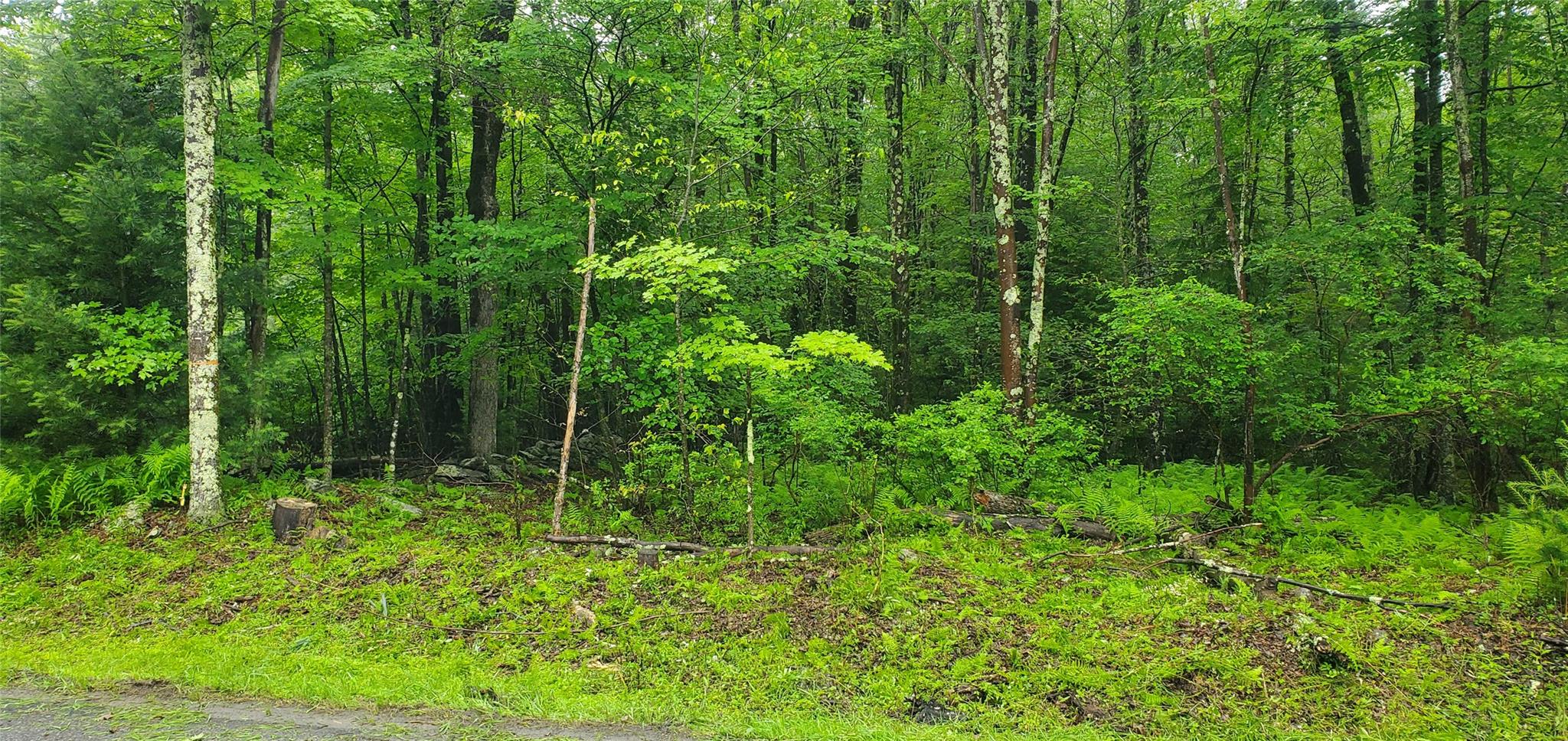 105 Cypert Road Fallsburg, NY 12788 - Photo 1 of 6 a view of a garden