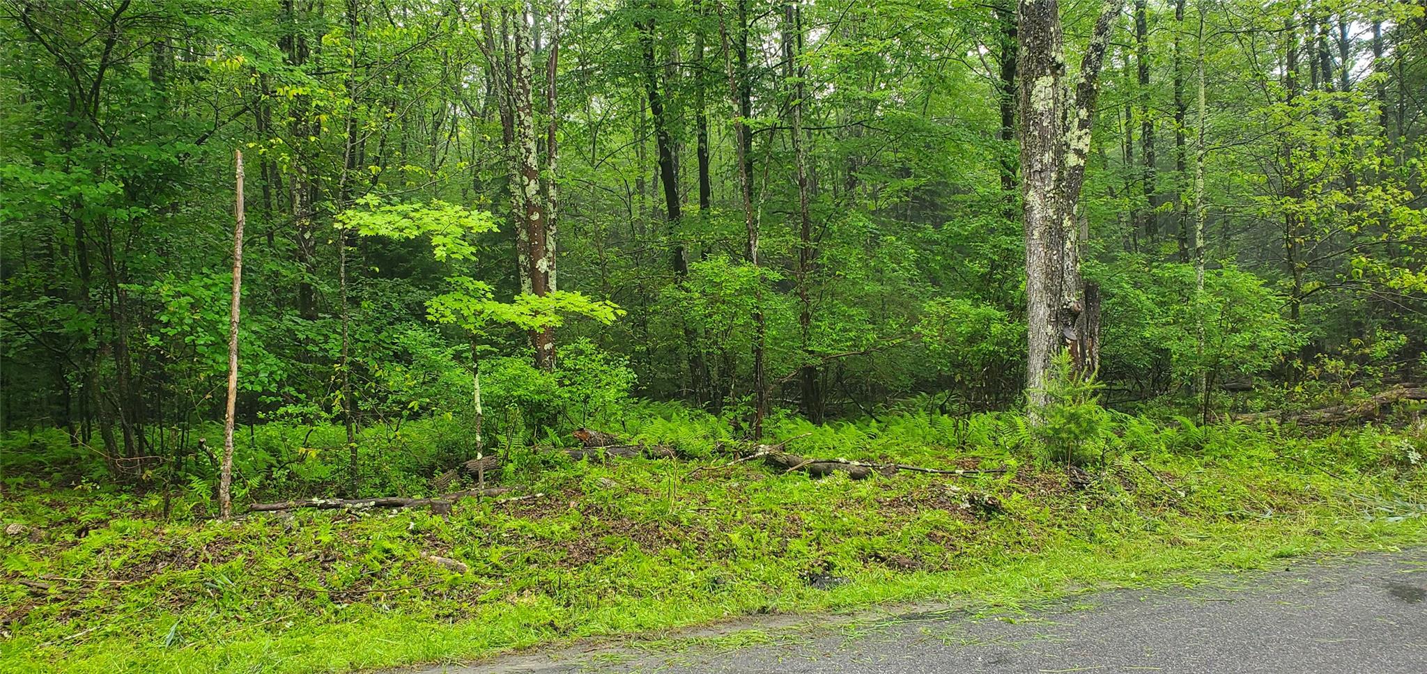 105 Cypert Road Fallsburg, NY 12788 - Photo 2 of 6