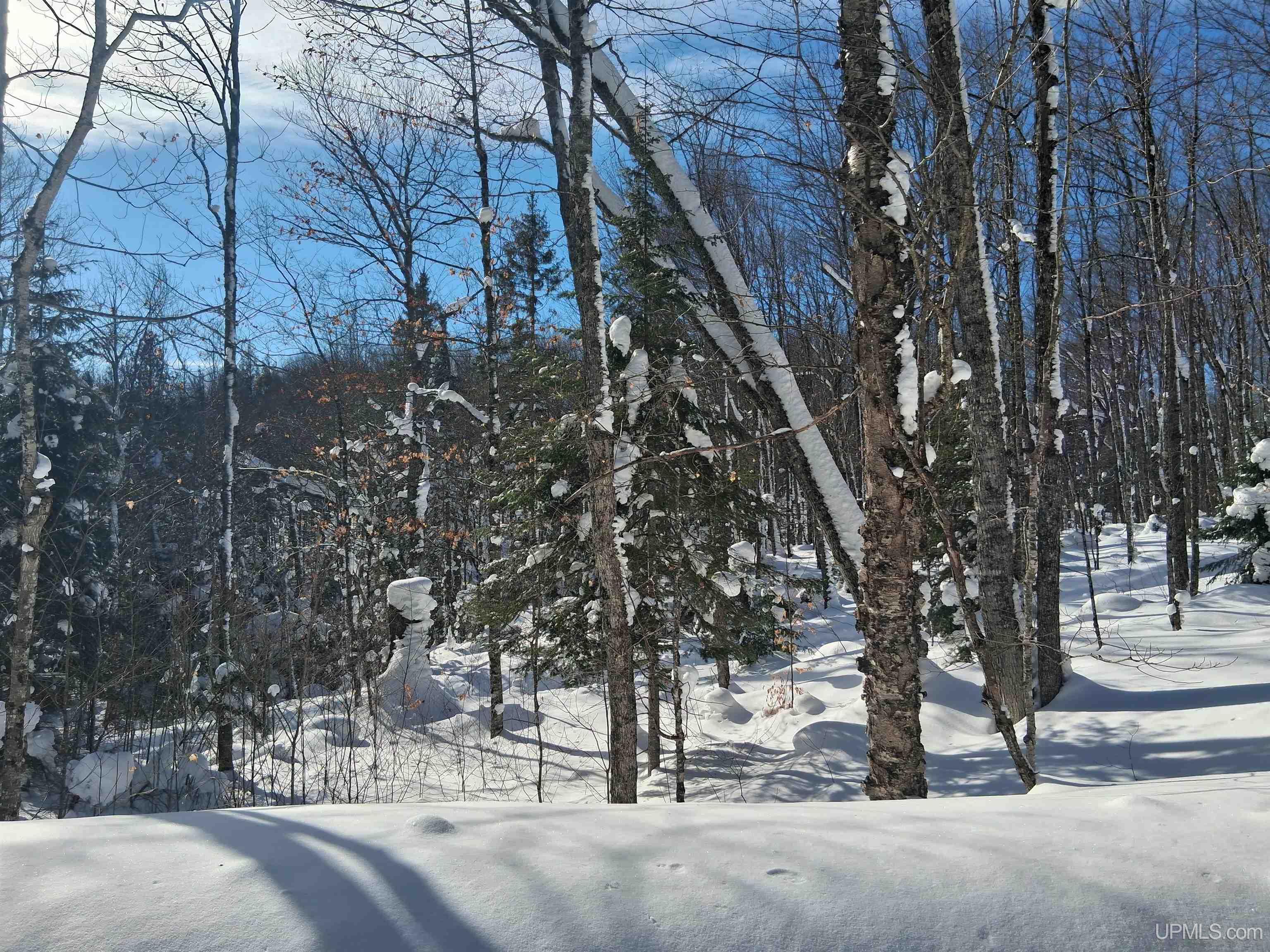 Lot 7 Fence Lake Road Republic, MI 49879 - Photo 10 of 21