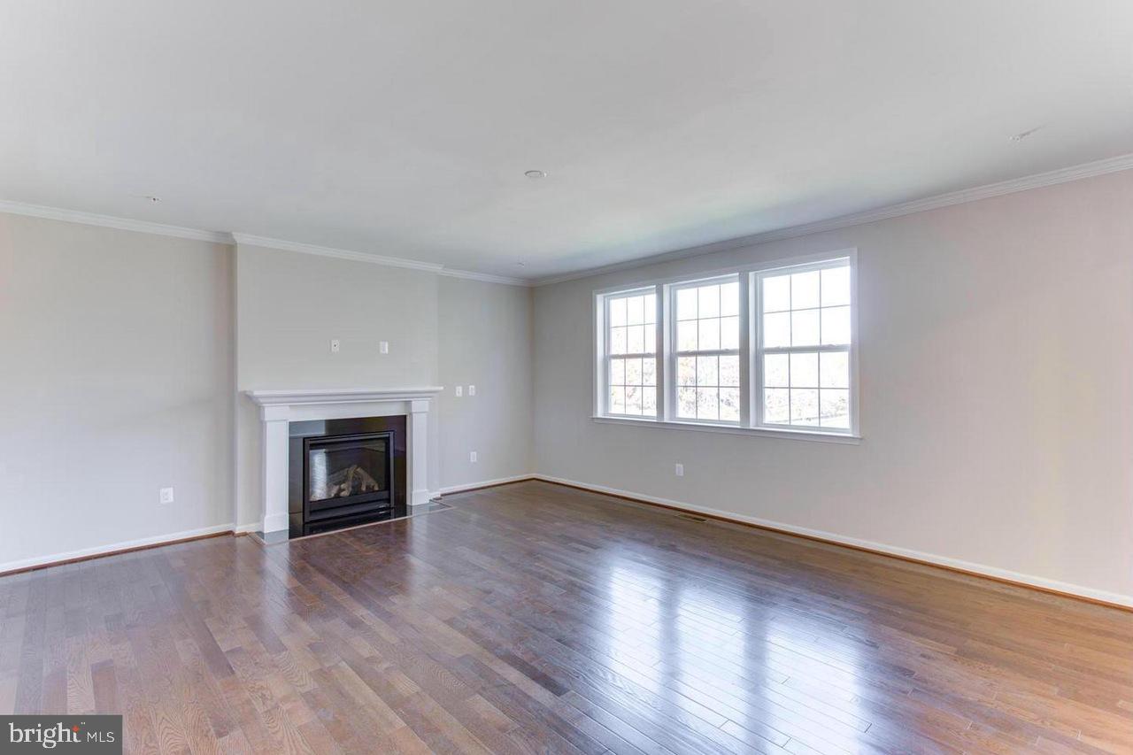 1032 Briggs Chaney Road Silver Spring, MD 20905 - Photo 7 of 30 Living Room with Fireplace
