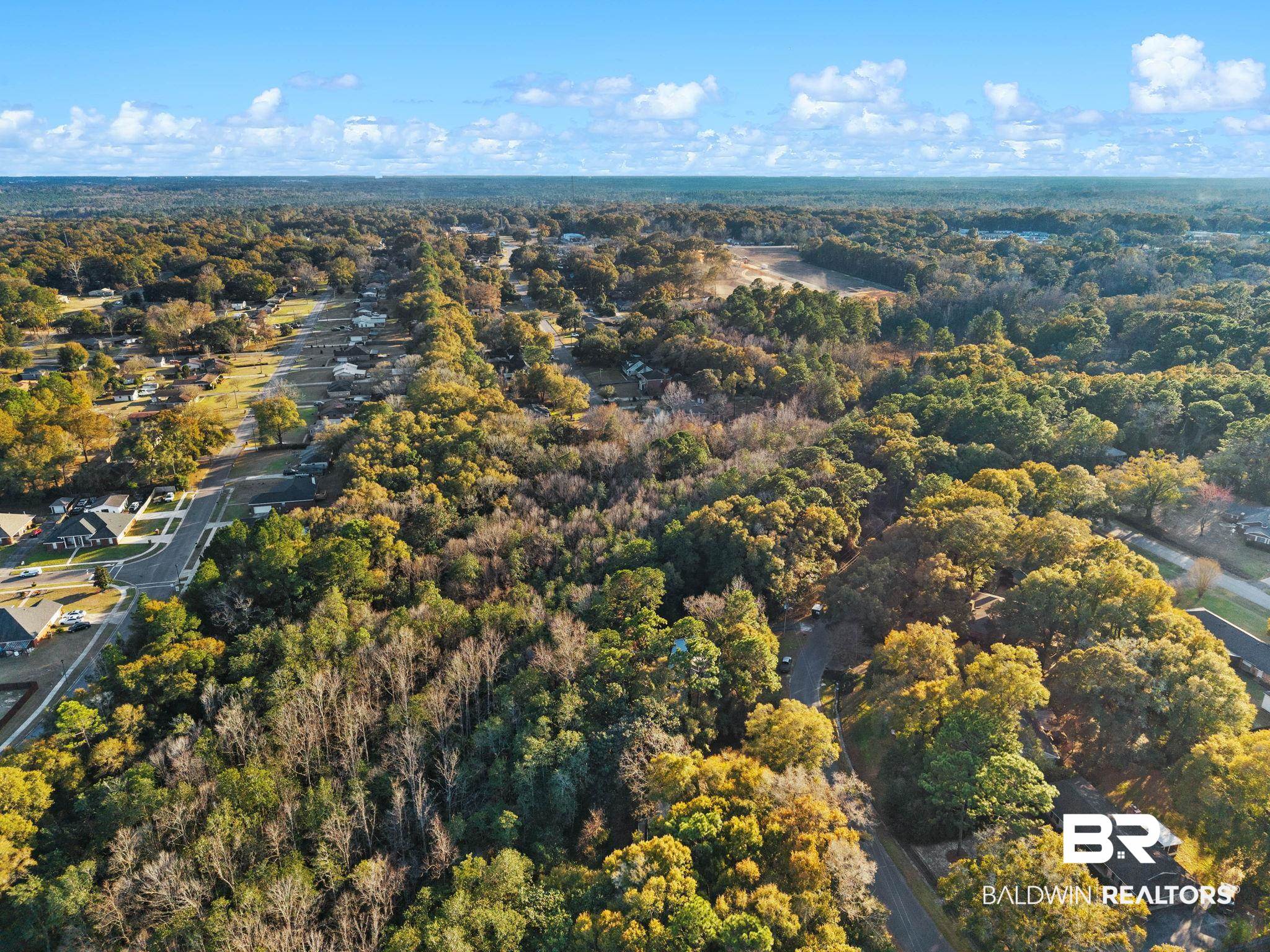 0 Meadow Lane Mobile, AL 36618 - Photo 4 of 8