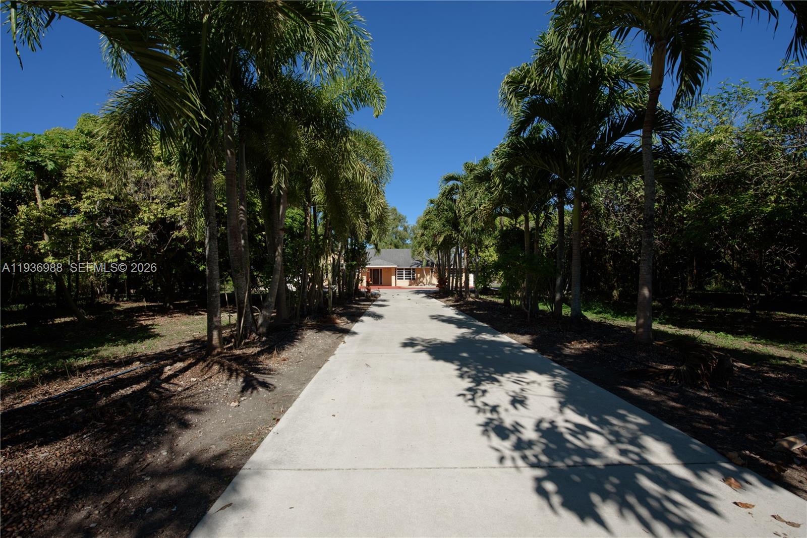 21295 Southwest 376th Street Homestead, FL 33034 - Photo 26 of 51 a view of a park with lots of trees