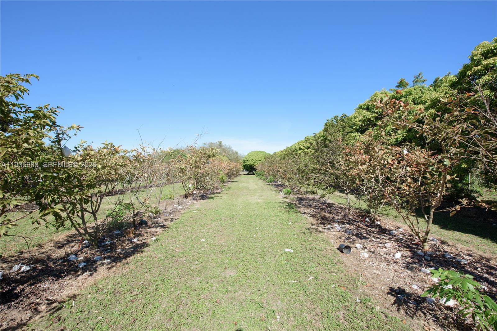21295 Southwest 376th Street Homestead, FL 33034 - Photo 29 of 51 a view of a lake with houses in the background