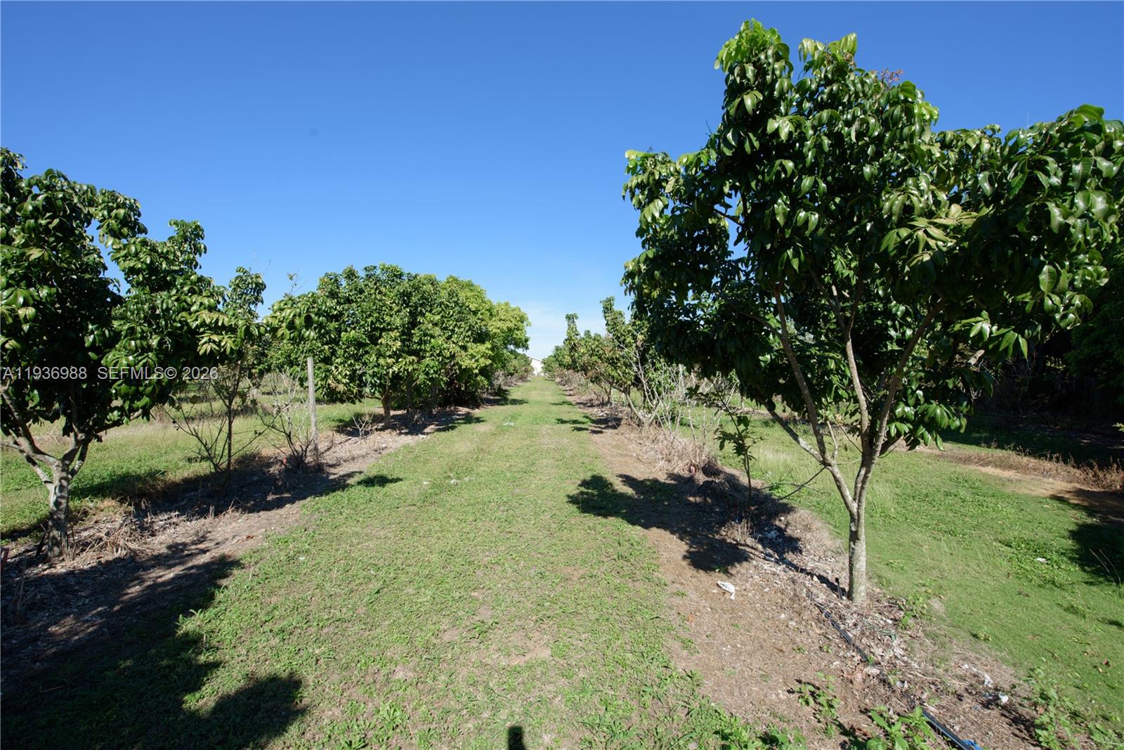 21295 Southwest 376th Street Homestead, FL 33034 - Photo 34 of 51