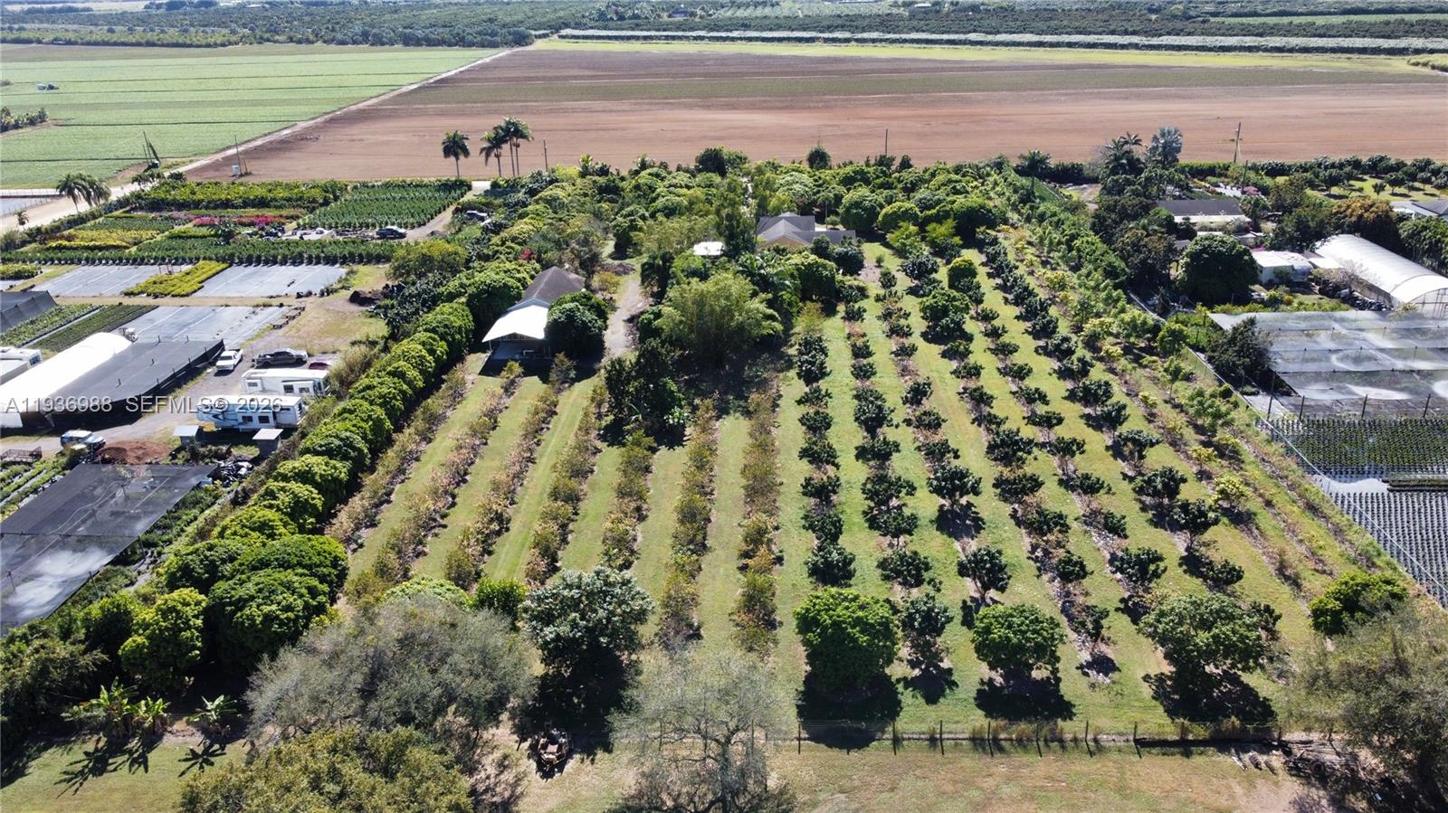 21295 Southwest 376th Street Homestead, FL 33034 - Photo 39 of 51 a view of a yard with an outdoor space