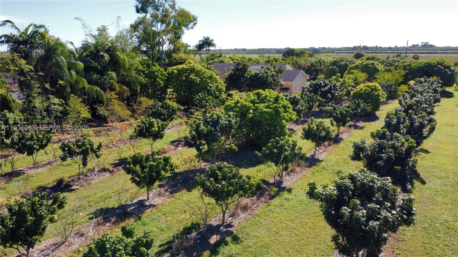 21295 Southwest 376th Street Homestead, FL 33034 - Photo 46 of 51 a view of a garden with a tree