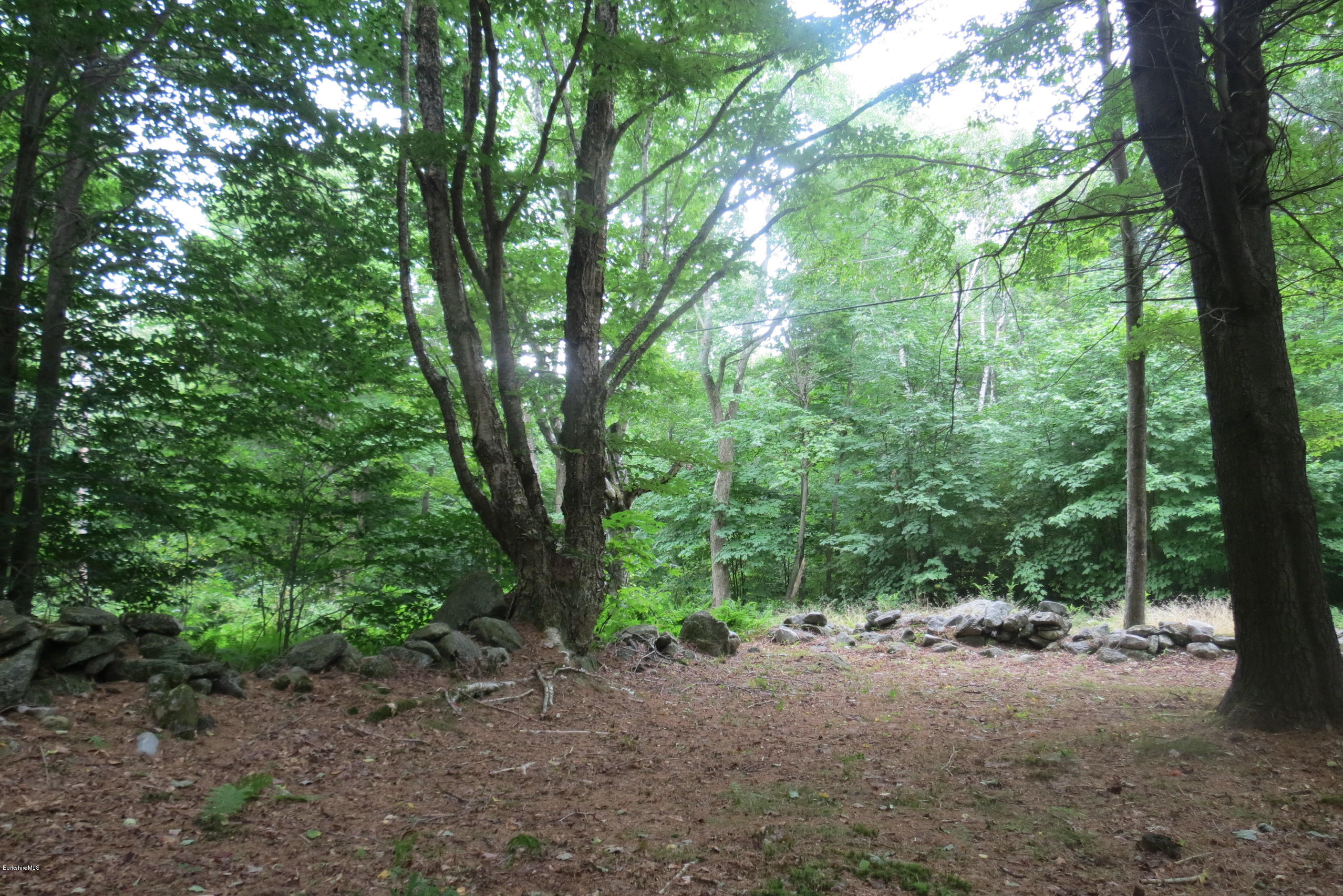 1818-2 County Road Stamford, VT 05352 - Photo 23 of 59 a view of a forest with trees in the background