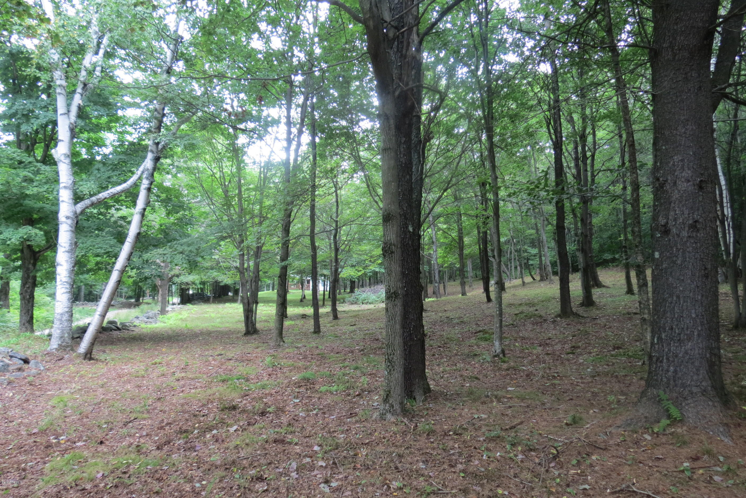 1818-2 County Road Stamford, VT 05352 - Photo 25 of 59 a view of outdoor space and trees
