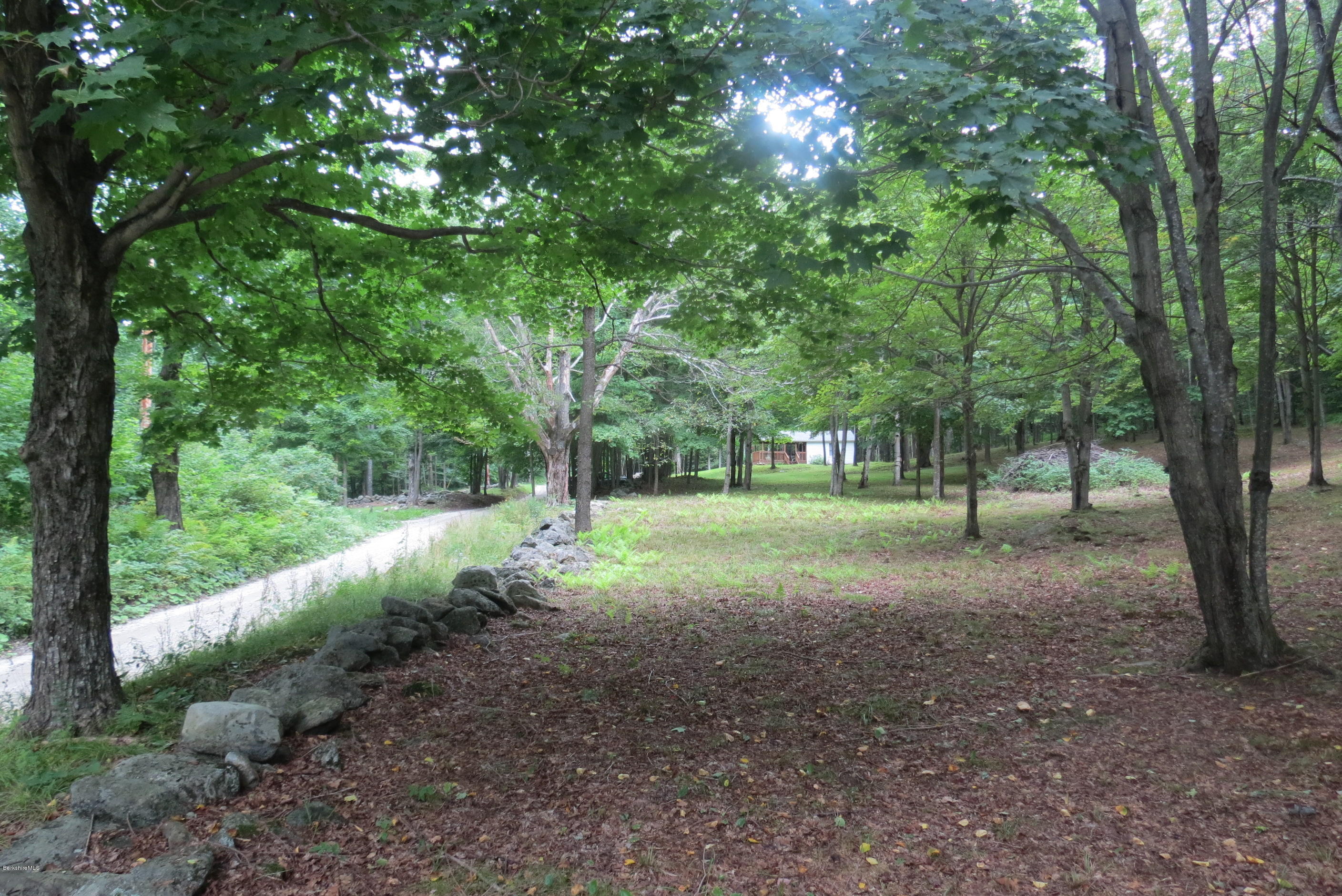 1818-2 County Road Stamford, VT 05352 - Photo 26 of 59 a view of a tree in the middle of a yard