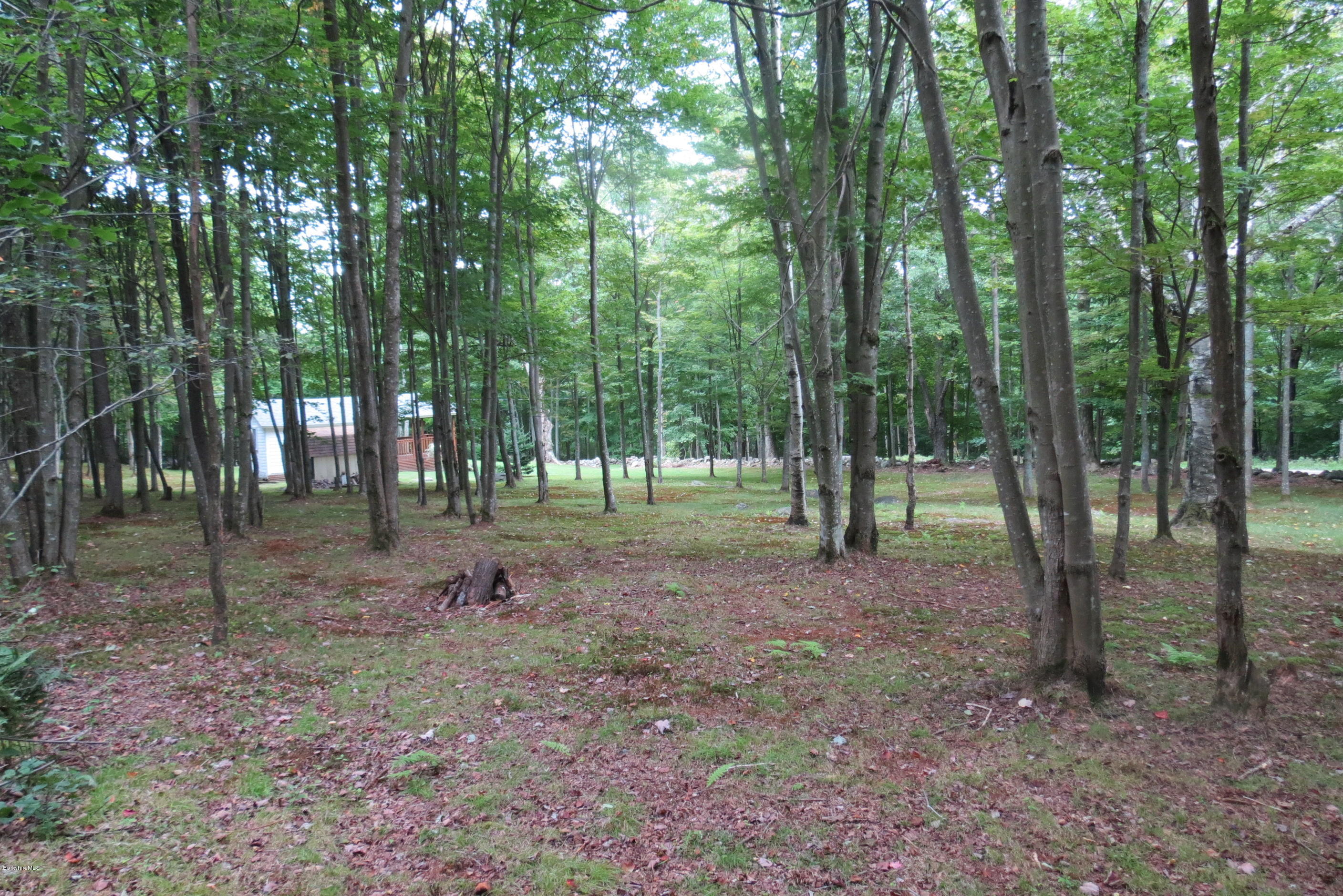 1818-2 County Road Stamford, VT 05352 - Photo 44 of 59 a view of a forest with trees