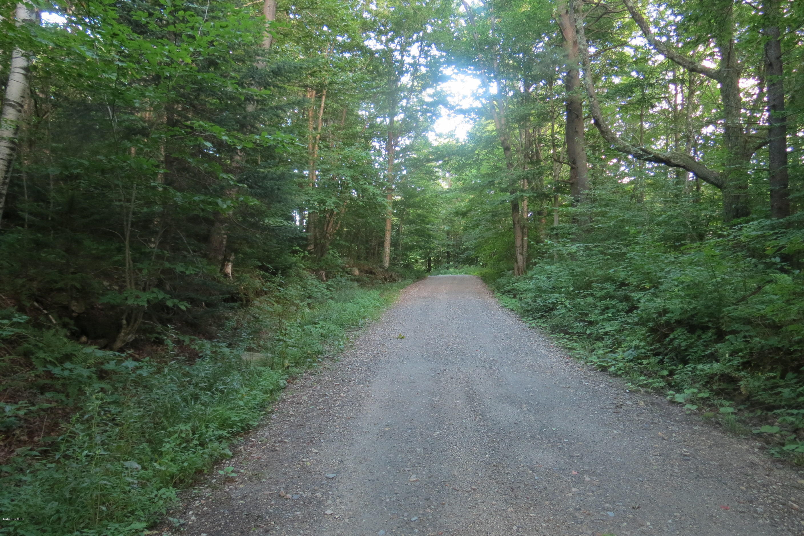 1818-2 County Road Stamford, VT 05352 - Photo 59 of 59 Another Section of the road frontage