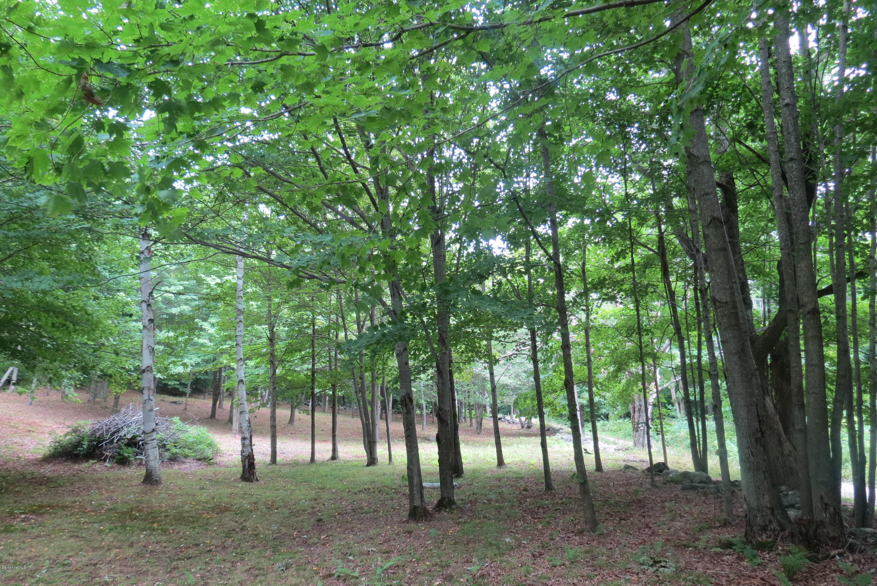 1818-2 County Road Stamford, VT 05352 - Photo 10 of 59 a view of outdoor space and trees