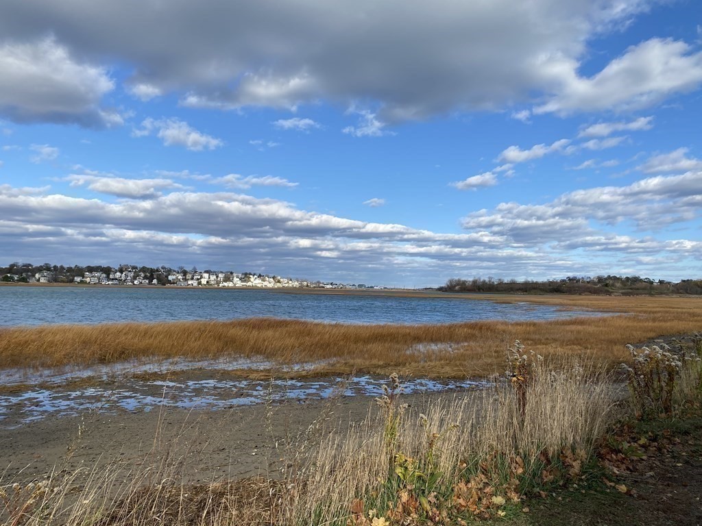 38 Pleasant Park Road Winthrop, MA 02152 - Photo 18 of 18 Gallery Image 18