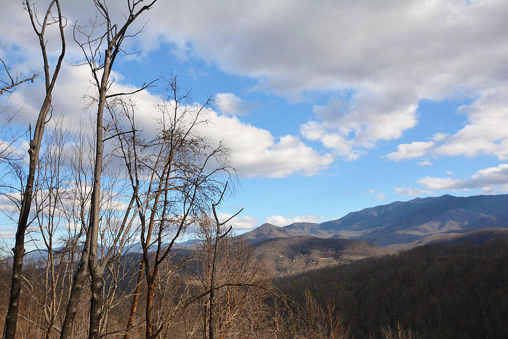 858 Village Loop Road Gatlinburg, TN 37738 - Photo 8 of 10 H