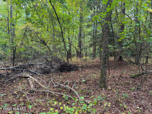 Lot 7 Equestrian Lane Carthage, NC 28327 - Photo 23 of 49 100417099_25