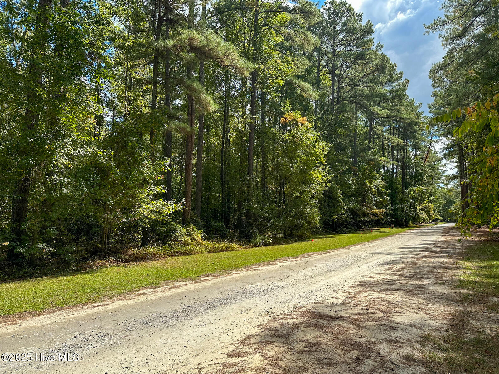 Lot 7 Equestrian Lane Carthage, NC 28327 - Photo 43 of 49 Equestrian Lane (12)