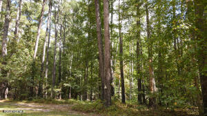Lot 7 Equestrian Lane Carthage, NC 28327 - Photo 6 of 49 100417099_5