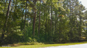Lot 7 Equestrian Lane Carthage, NC 28327 - Photo 8 of 49 100417099_7