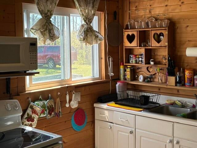 8397 Lovells Road Grayling, MI 49738 - Photo 4 of 18 Miller Kitch 2 IMG_5482