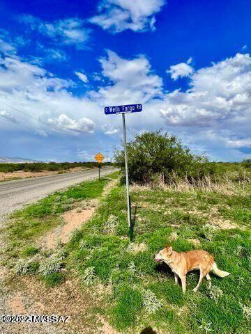 20 Acres Willcox, AZ 85643 - Photo 4 of 10