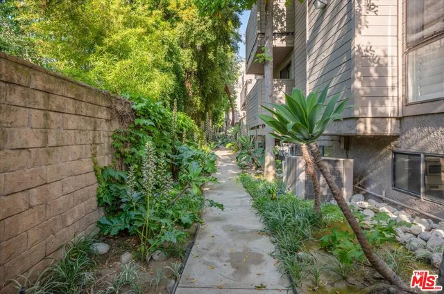 a view of a pathway with plants and large trees