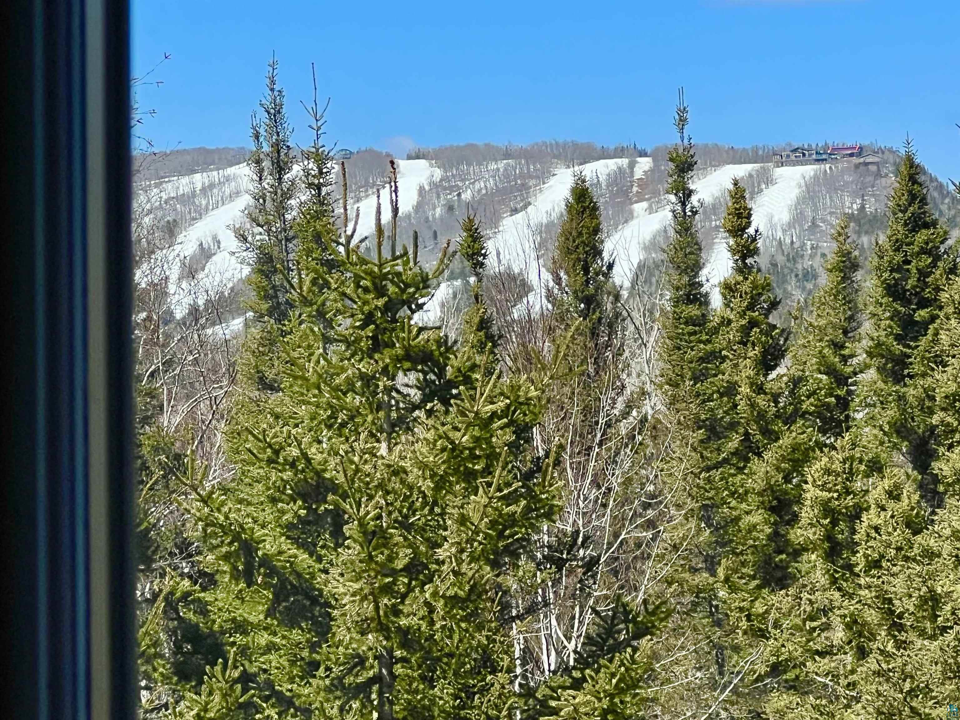 21 Turnagain Trail Lutsen, MN 55612 - Photo 40 of 77 Evergreen trees providing a natural screen with a snow-covered mountain backdrop