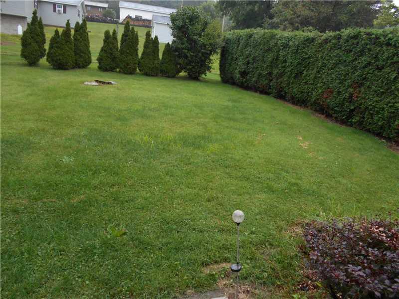Yard/Garden. 