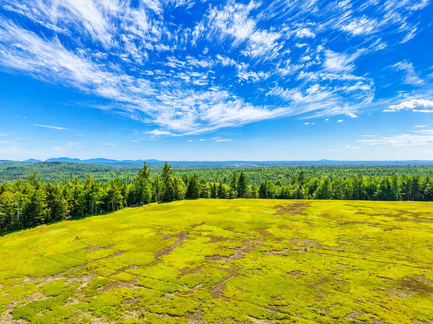 Map13-lot11 Martins Ridge Road Franklin, ME 04634 - Photo 11 of 33 LOT 11
