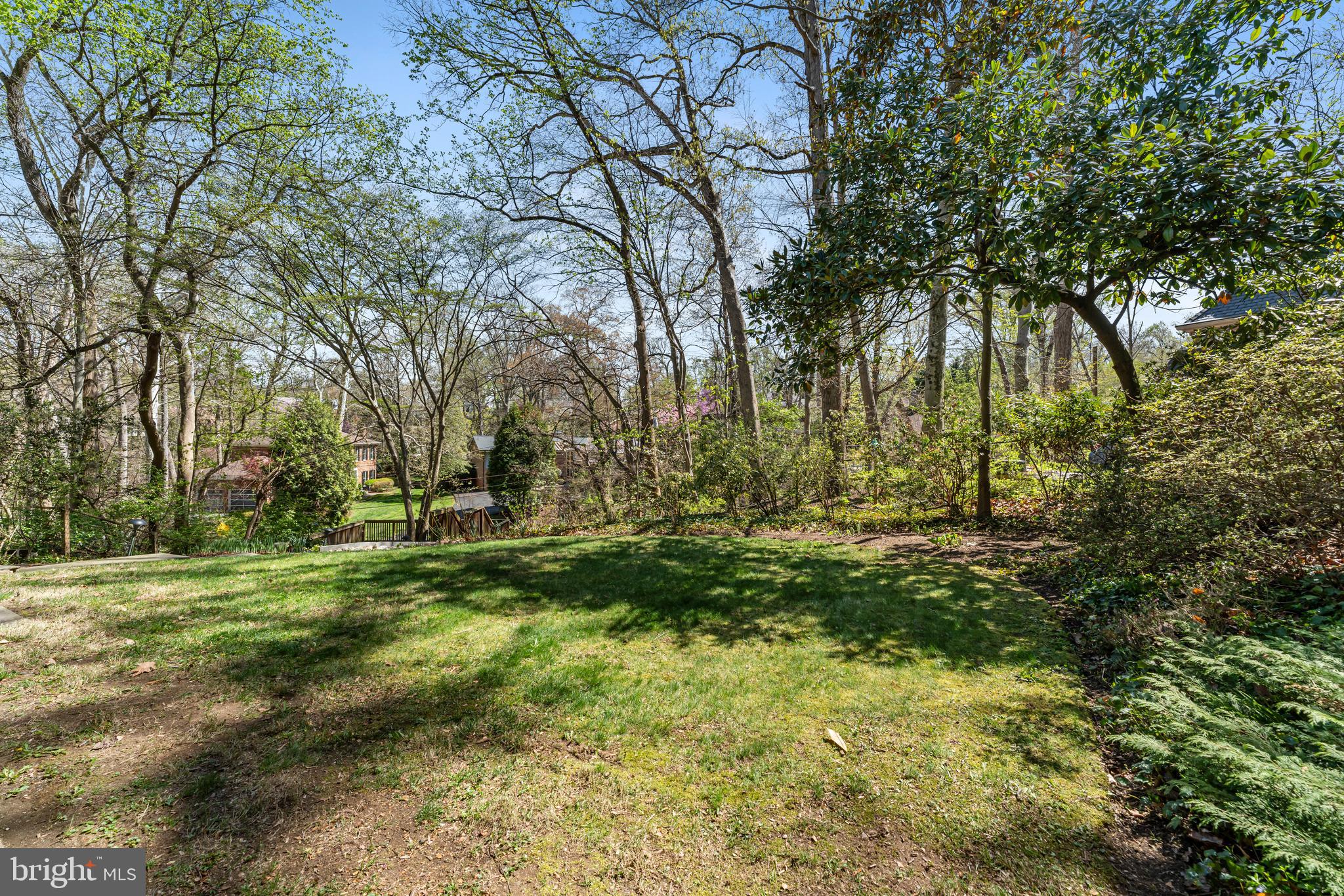 2820 Ellicott Street Northwest Washington, DC 20008 - Photo 40 of 43 a view of outdoor space with trees all around