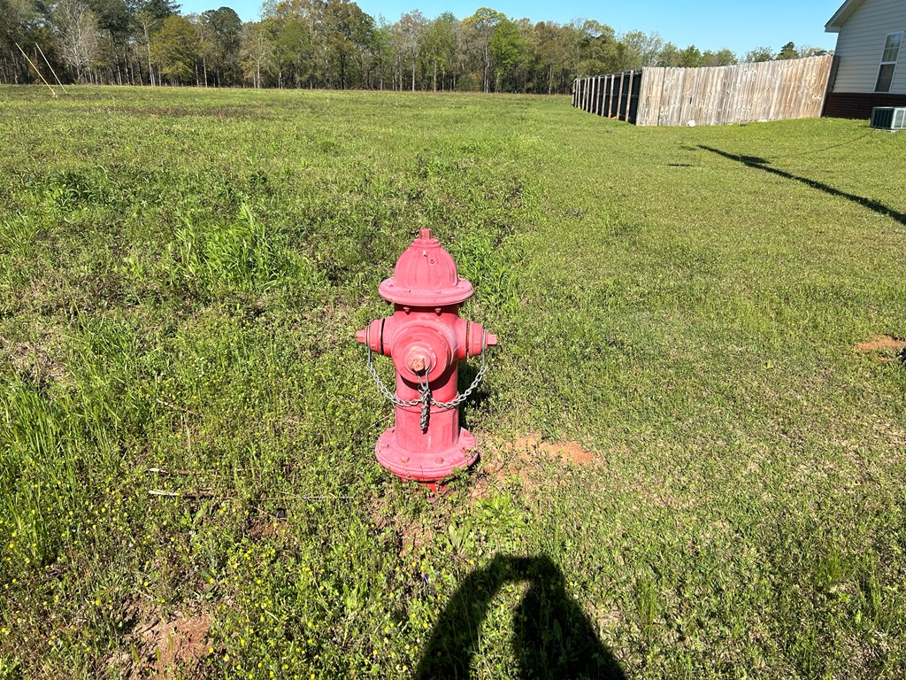 16.14-ac Lees Bridge Road Midland City, AL 36350 - Photo 12 of 28