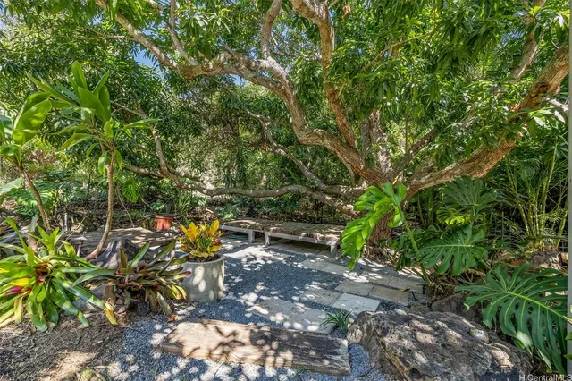 a view of a garden with plants