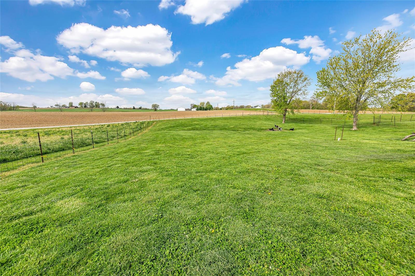 3286 State Rte 155 Prairie du Rocher, IL 62277 - Photo 46 of 53