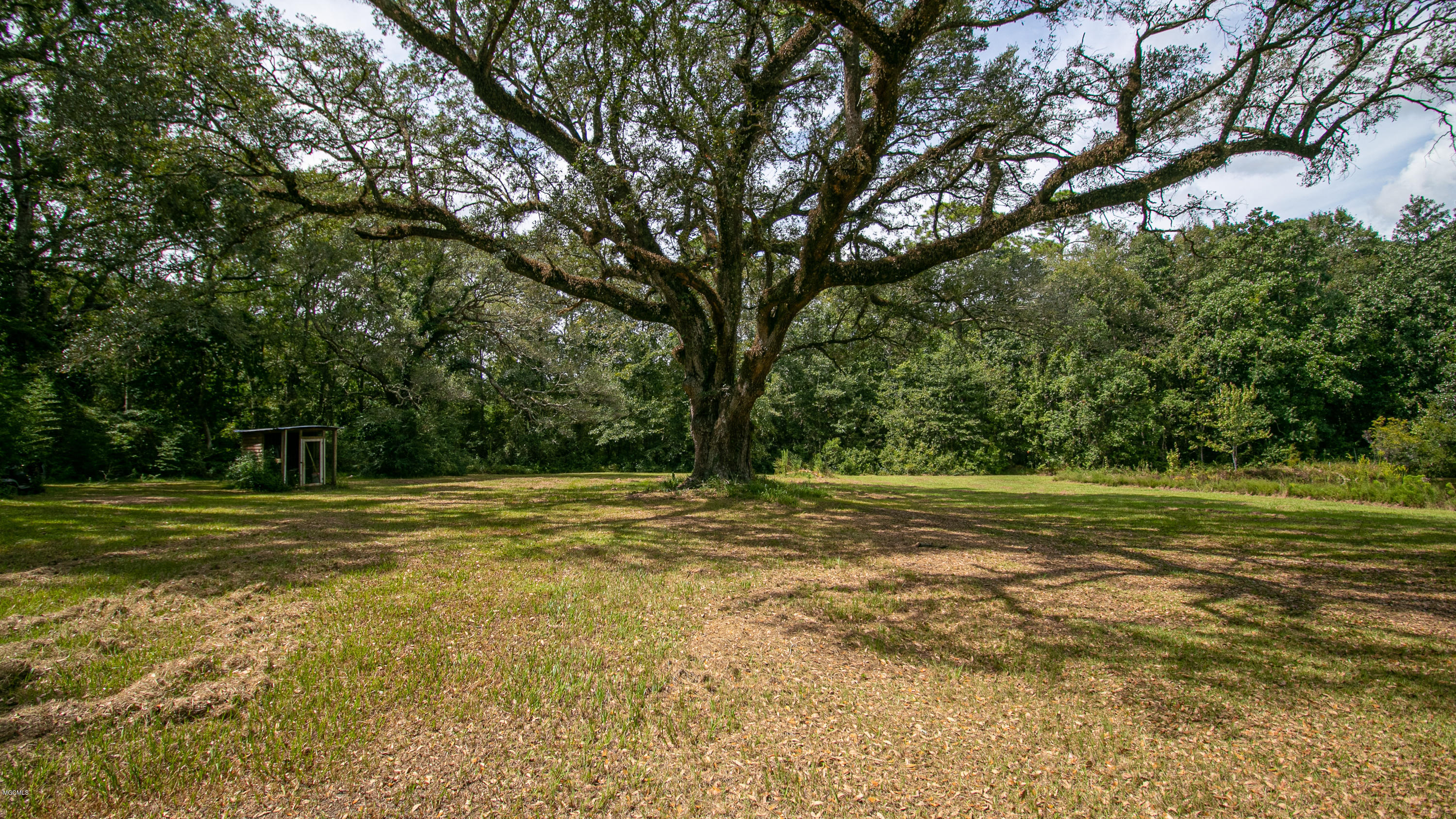 10420 Antioch Road Vancleave, MS 39565 - Photo 23 of 30 Antioch-129