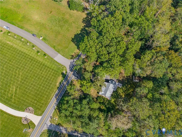a view of a yard with plants