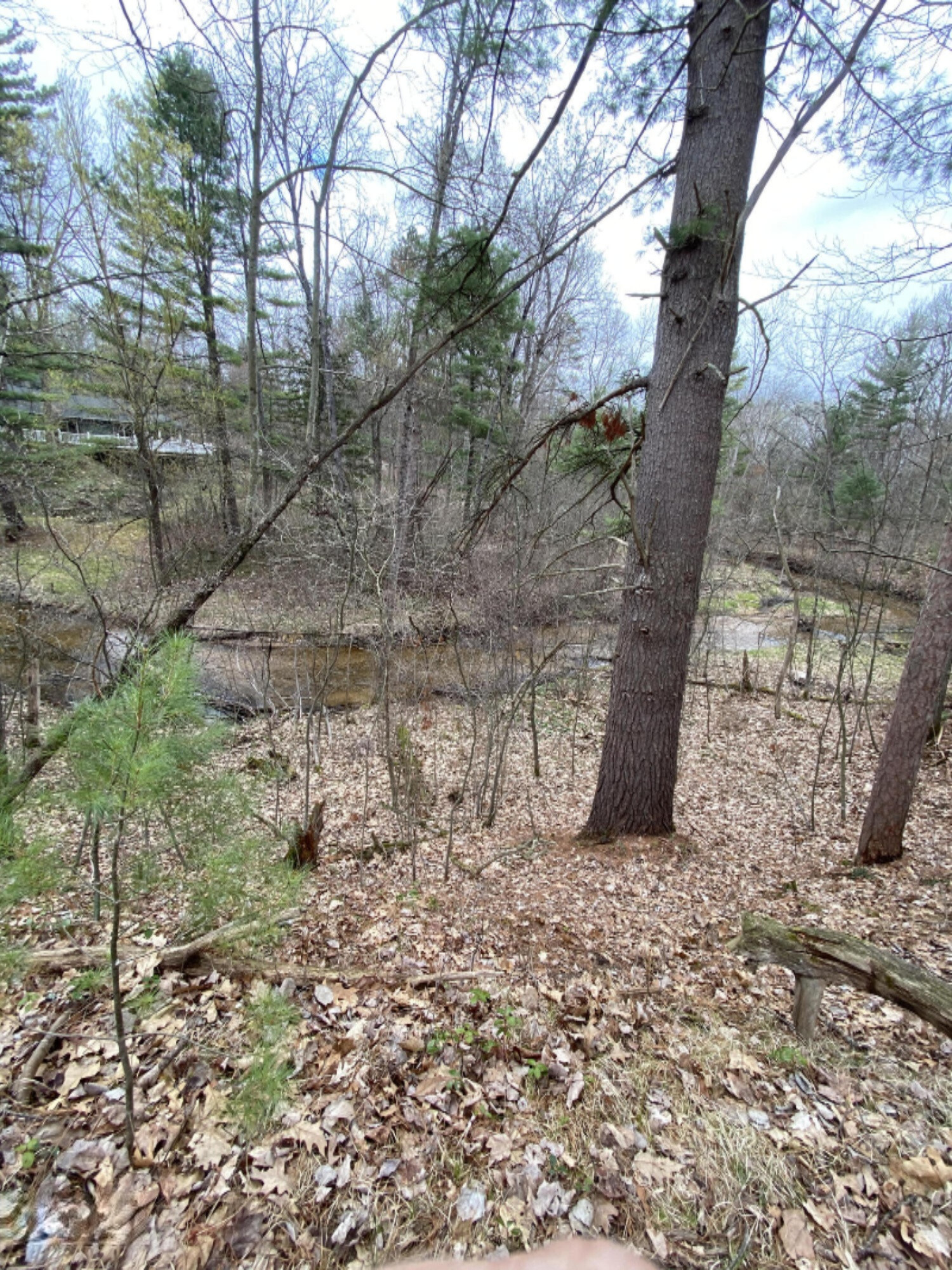 2.16-acres Jacobson Road Manistee, MI 49660 - Photo 11 of 18 IMG_5570