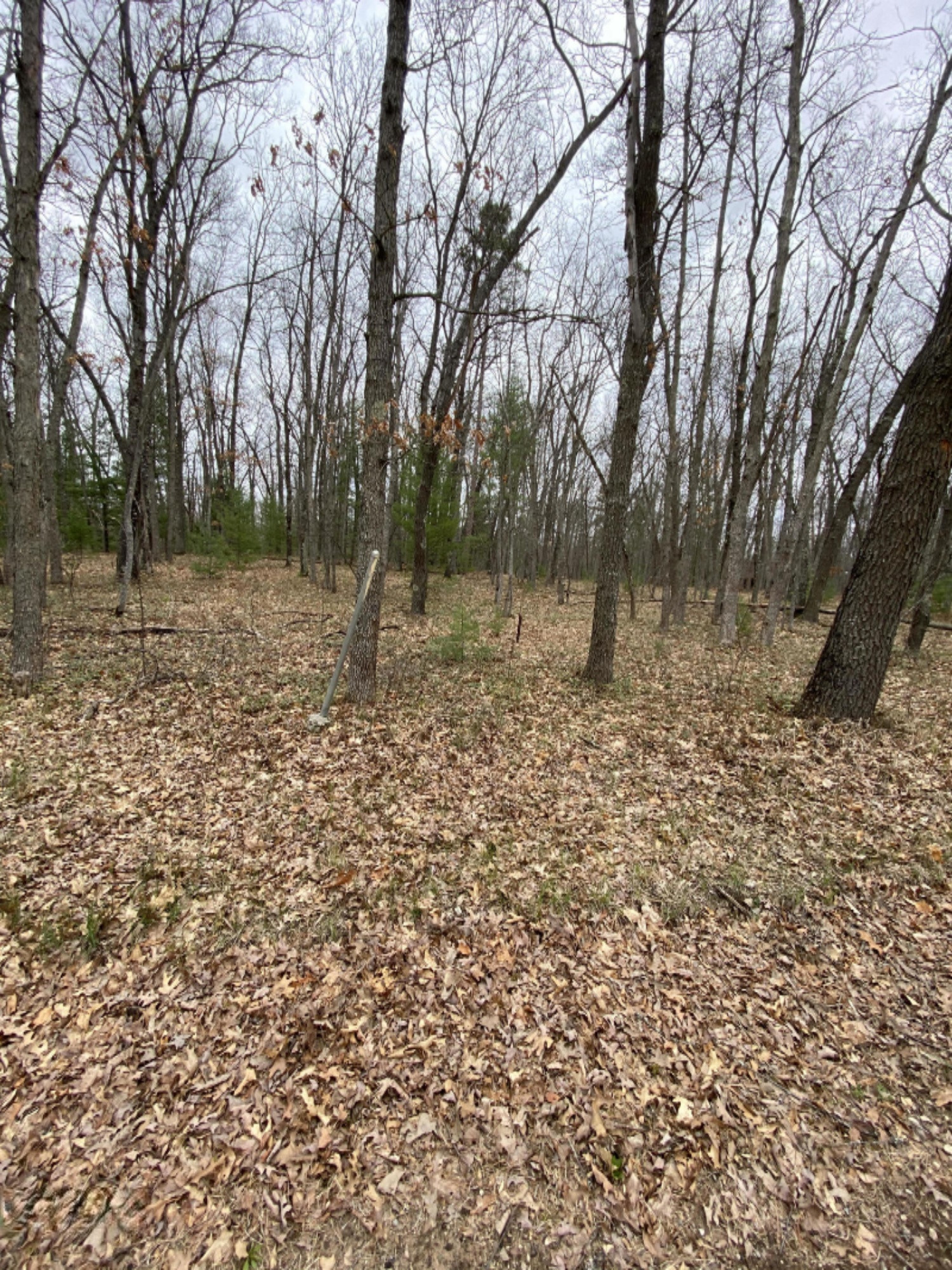 2.16-acres Jacobson Road Manistee, MI 49660 - Photo 16 of 18 IMG_5575